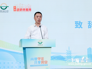 政府开放月：嘉定区举行2025年食品安全宣传周主题日活动