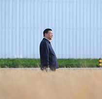 学习进行时丨习近平总书记心系农民丰收的故事