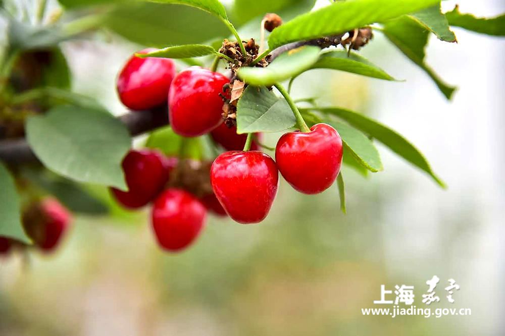 8e9ce8cc643943e080a99e8e6f419520.jpg 8e9ce8cc643943e080a99e8e6f419520.jpg