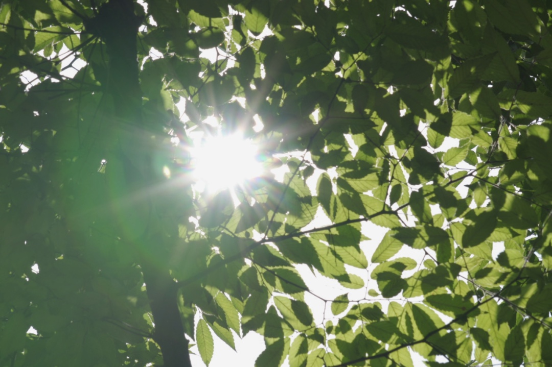 D62232E4-6FA4-4A56-AFBB-D9B2402BC0B4.jpeg
