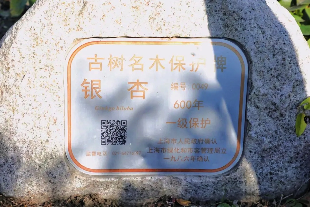 EE4D272A-FD22-49AD-9B28-2A800A7FEEEB.jpeg