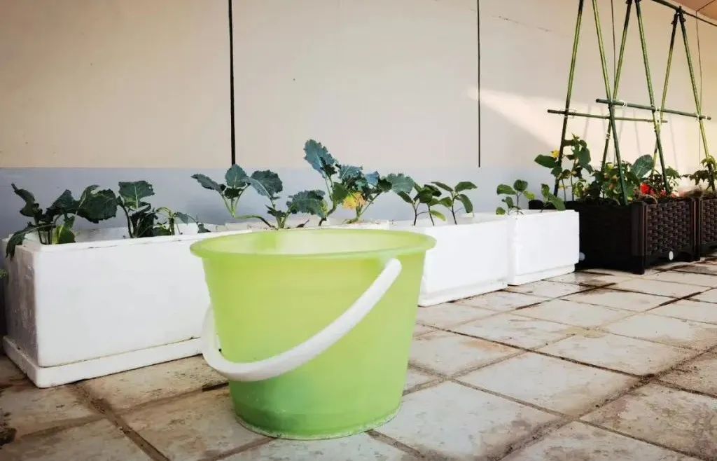 正文图片 正文图片