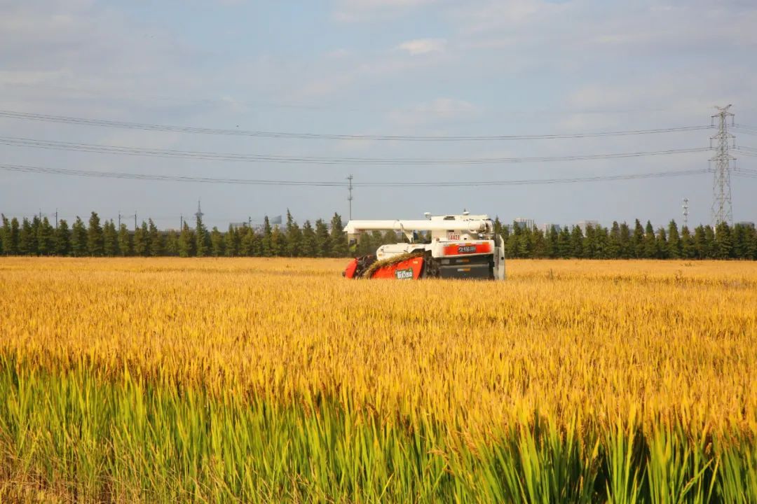 640 (12).jpg 640 (12).jpg