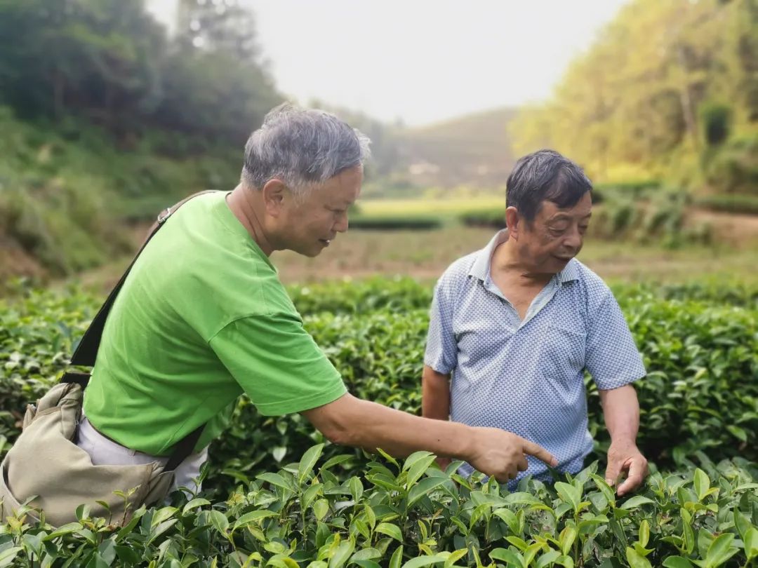 微信图片_20221216171638.jpg 微信图片_20221216171638.jpg