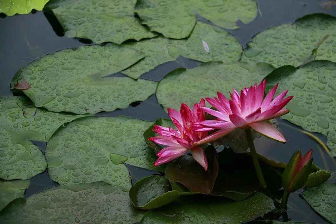 微信图片_20210707130134.jpg 微信图片_20210707130134.jpg