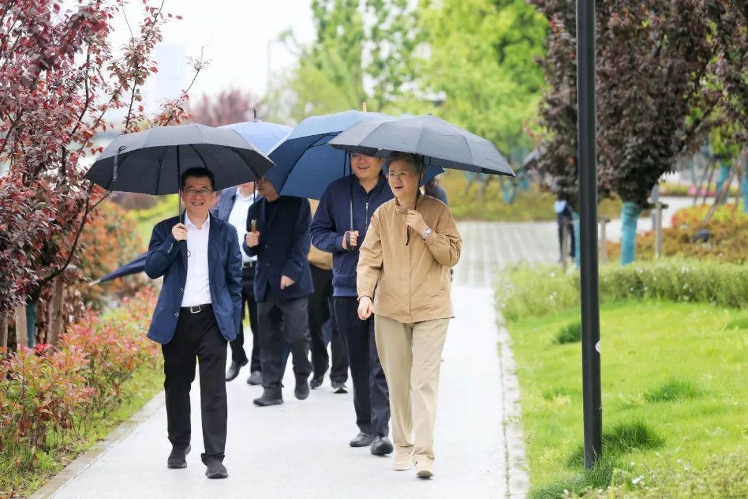 正文图片