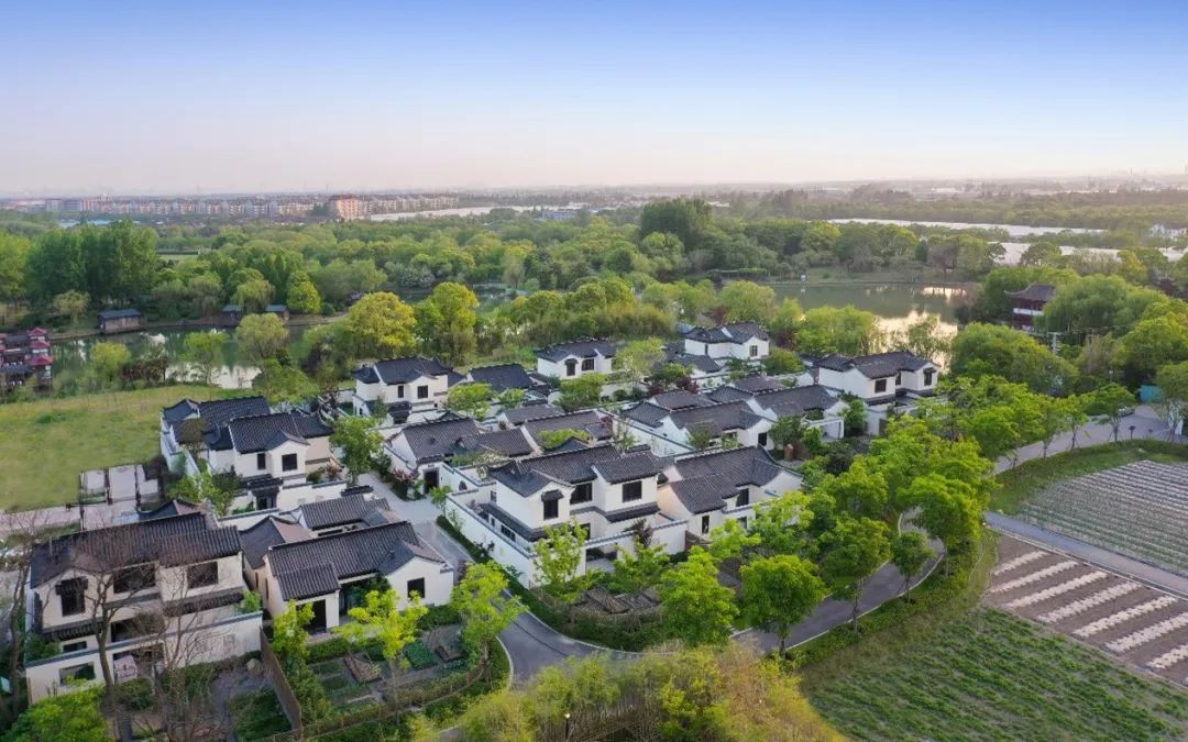 微信图片_20221104200651.jpg 微信图片_20221104200651.jpg