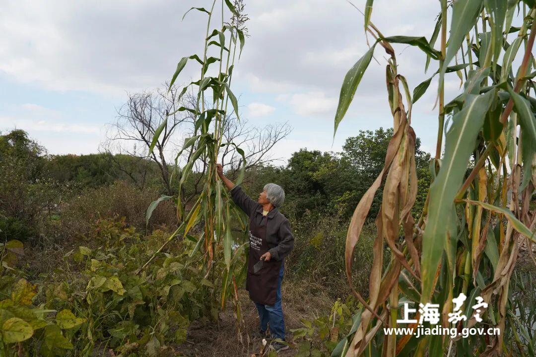 98c5cfc6b73a4aae95c3f0d9ca2b0ecc.jpg 98c5cfc6b73a4aae95c3f0d9ca2b0ecc.jpg