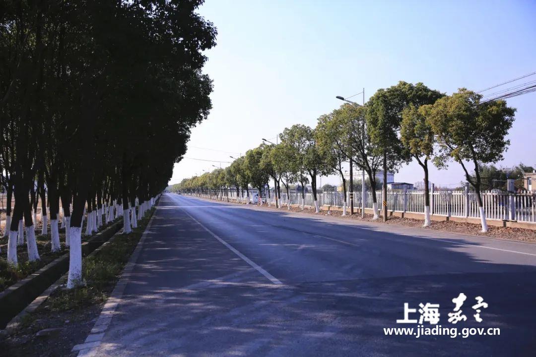 9afcad0bf43b4f23a57b653a041dac58.jpg