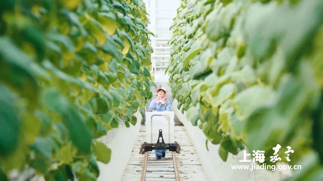 9c3480d123884240b2496a1f9a4923a6.jpg 9c3480d123884240b2496a1f9a4923a6.jpg