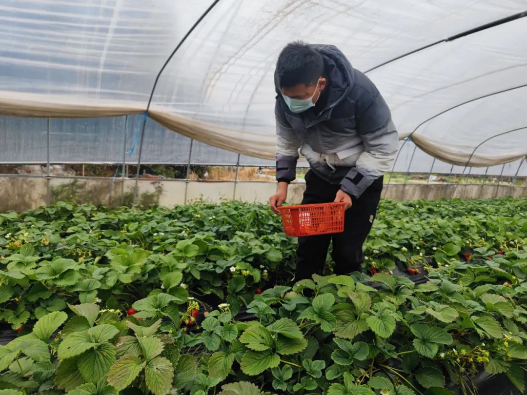 微信图片_20230123194841.jpg 微信图片_20230123194841.jpg