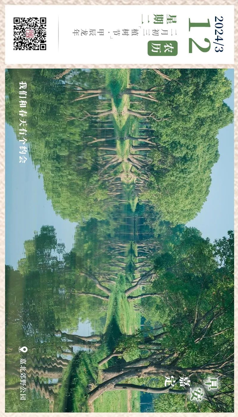 正文图片