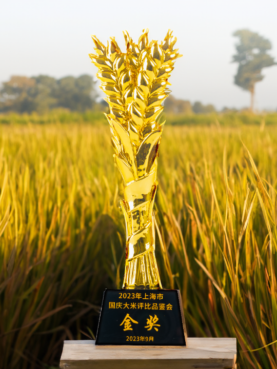 微信图片_20251017092709_5_698.png 微信图片_20251017092709_5_698.png