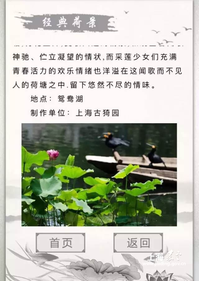 a15a52d3b1414645955e6f8af3fb2d0e.jpg