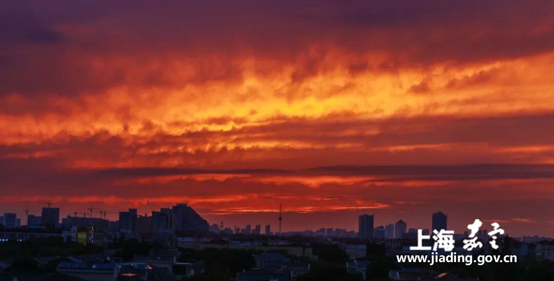 你看→今天嘉定天空的绚烂“烟花”！