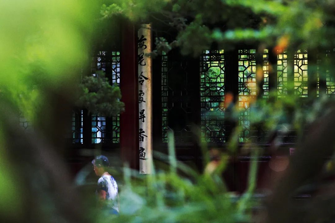 正文图片