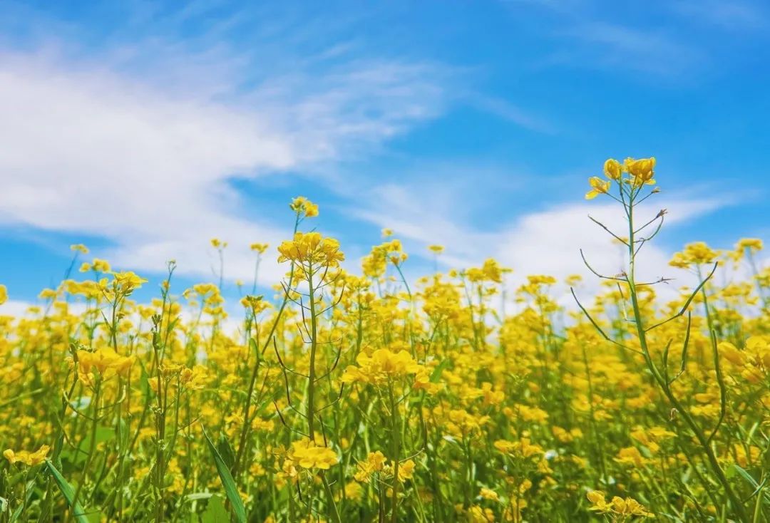 640-4.jpeg 640-4.jpeg