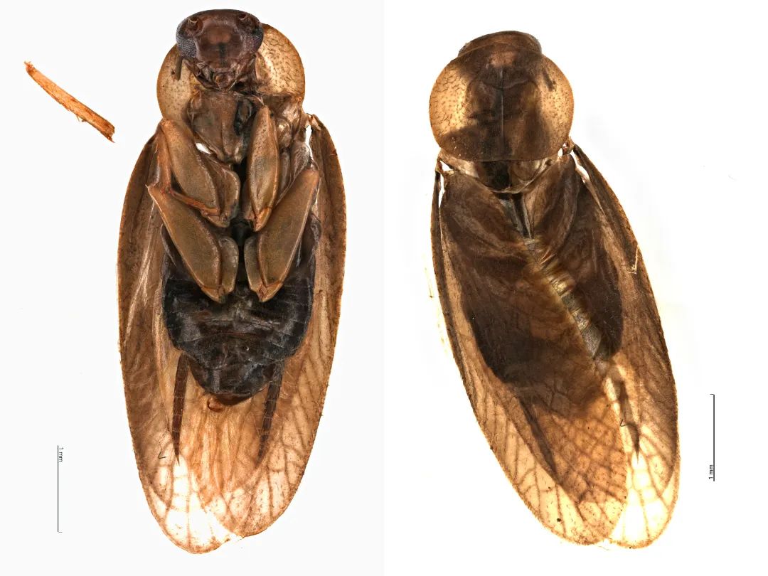 微信图片_20220726082115.jpg 微信图片_20220726082115.jpg