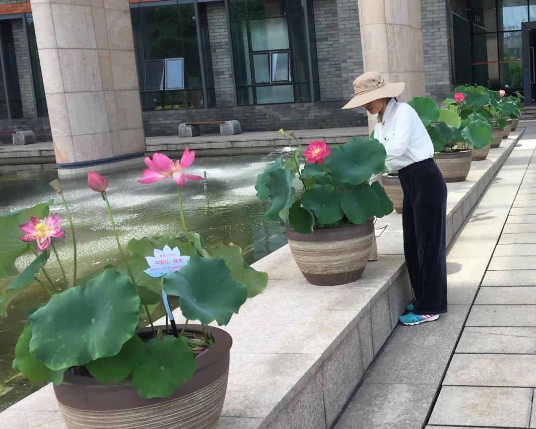 微信图片_20210617130845.jpg
