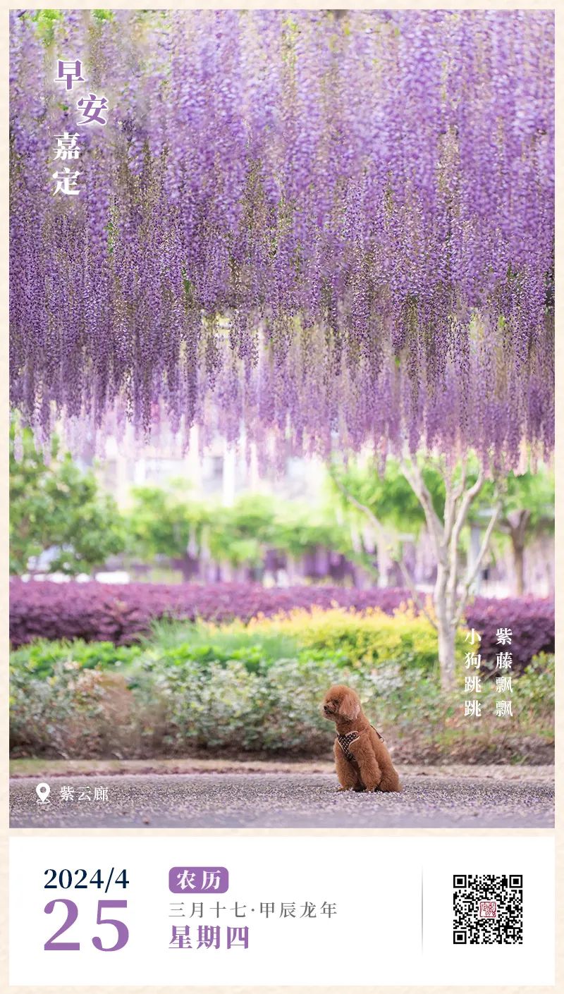 正文图片