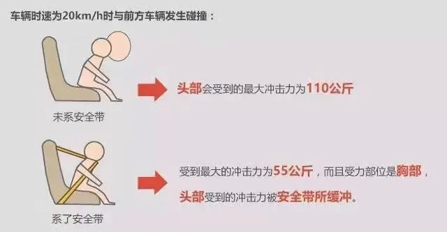 203.jpg