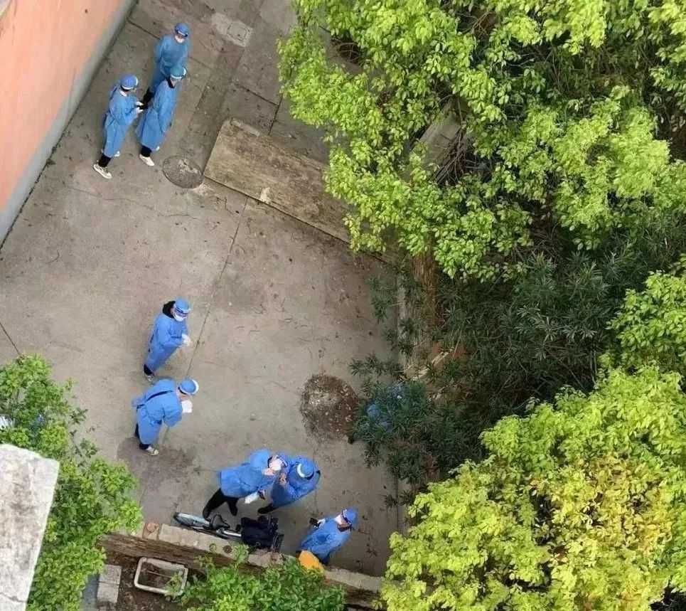正文图片