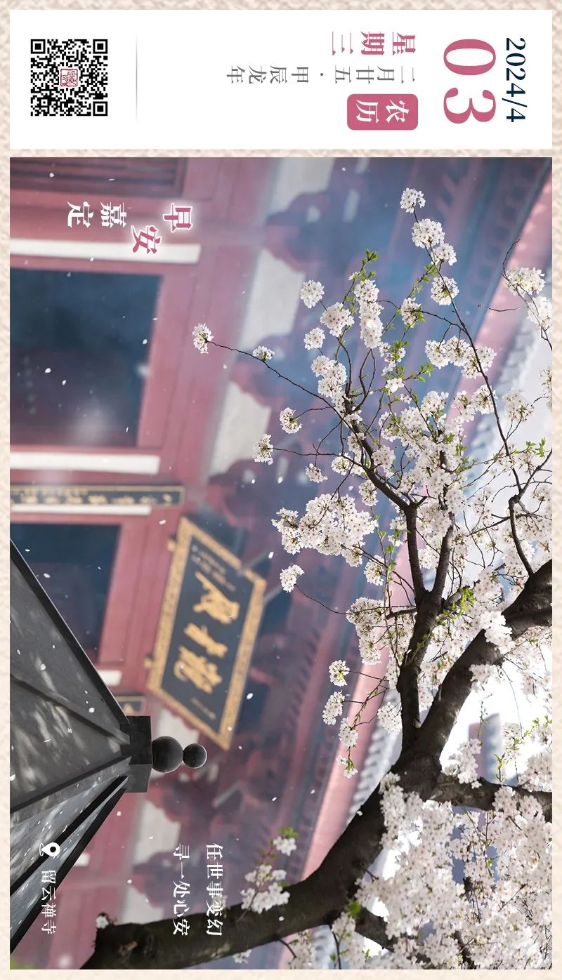 正文图片