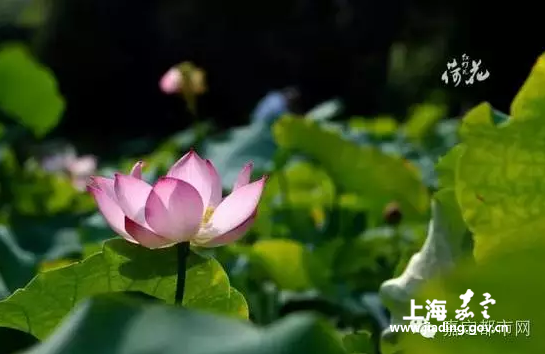 b07b217715354872baaeeaf27d38c769.png