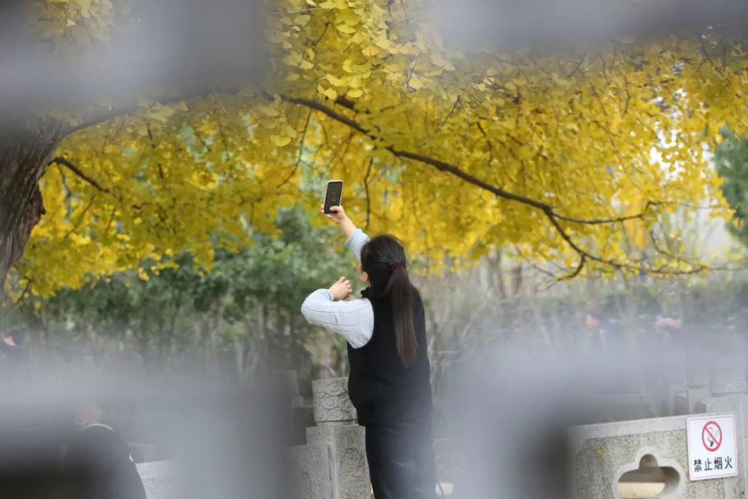 微信图片_20201207162345.jpg