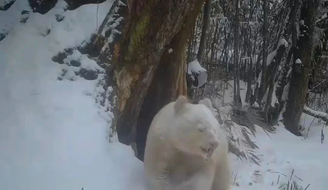 微信图片_20230528152658.jpg 微信图片_20230528152658.jpg