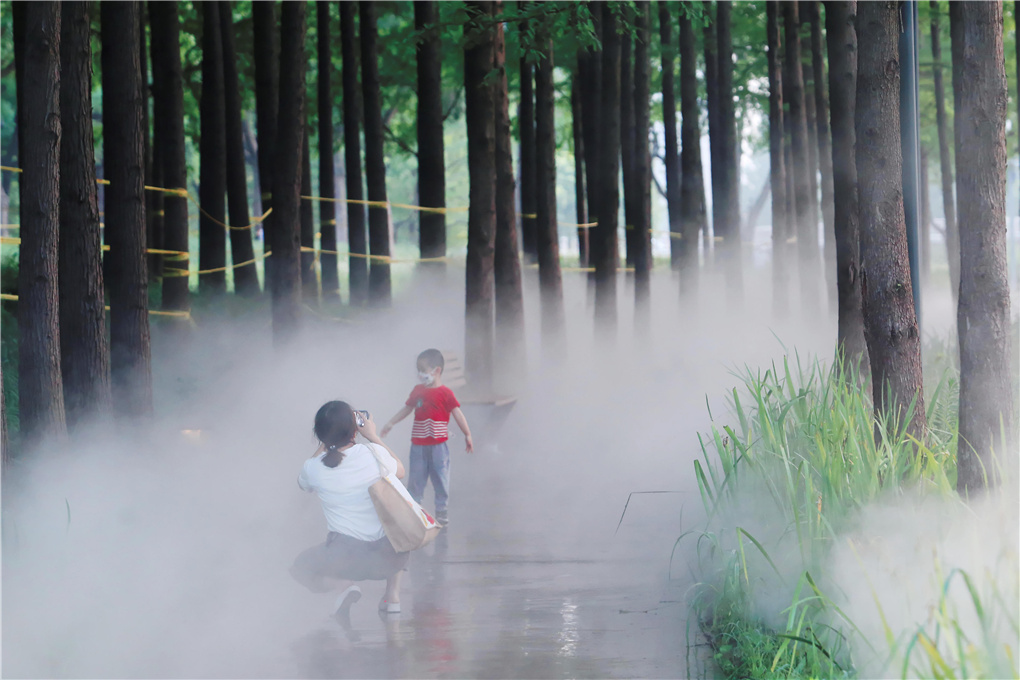 大暑-520731.jpg 大暑-520731.jpg