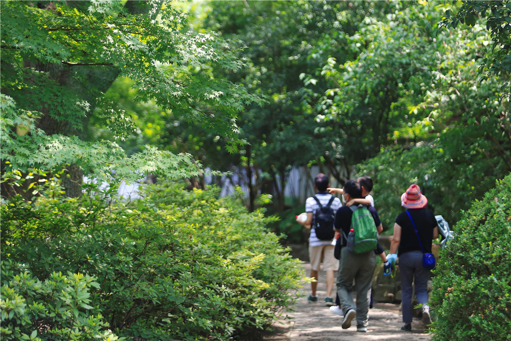 大暑-520729.jpg 大暑-520729.jpg