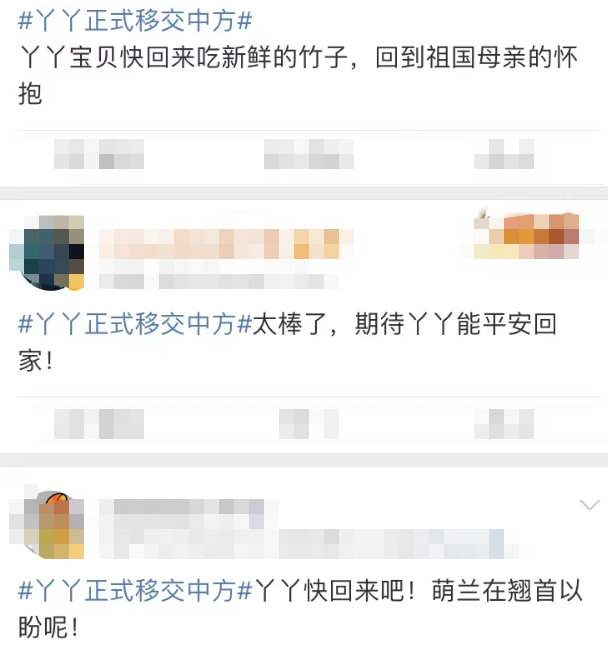 正文图片