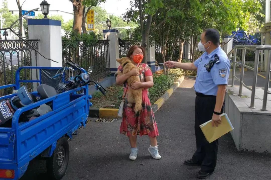 正文图片 正文图片