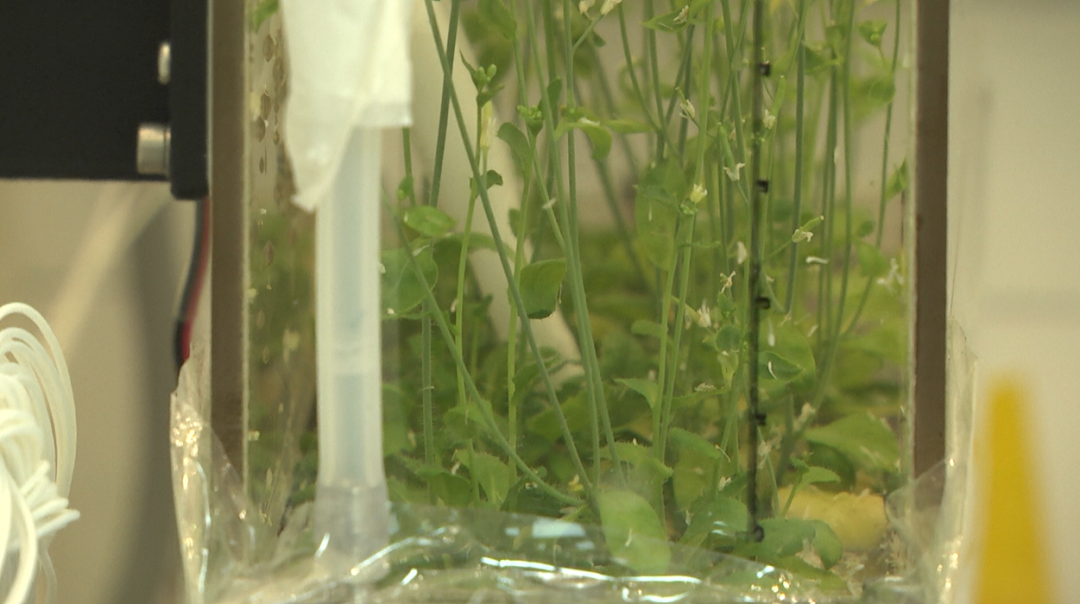 微信图片_20220727085326.png 微信图片_20220727085326.png