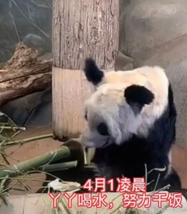正文图片