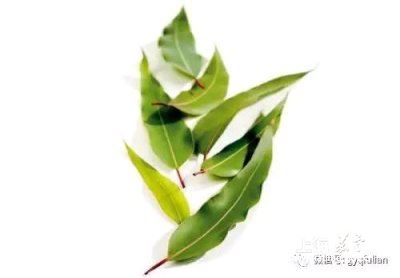 bf0449ca3ba1425aa9092d3b608d7db5.jpg