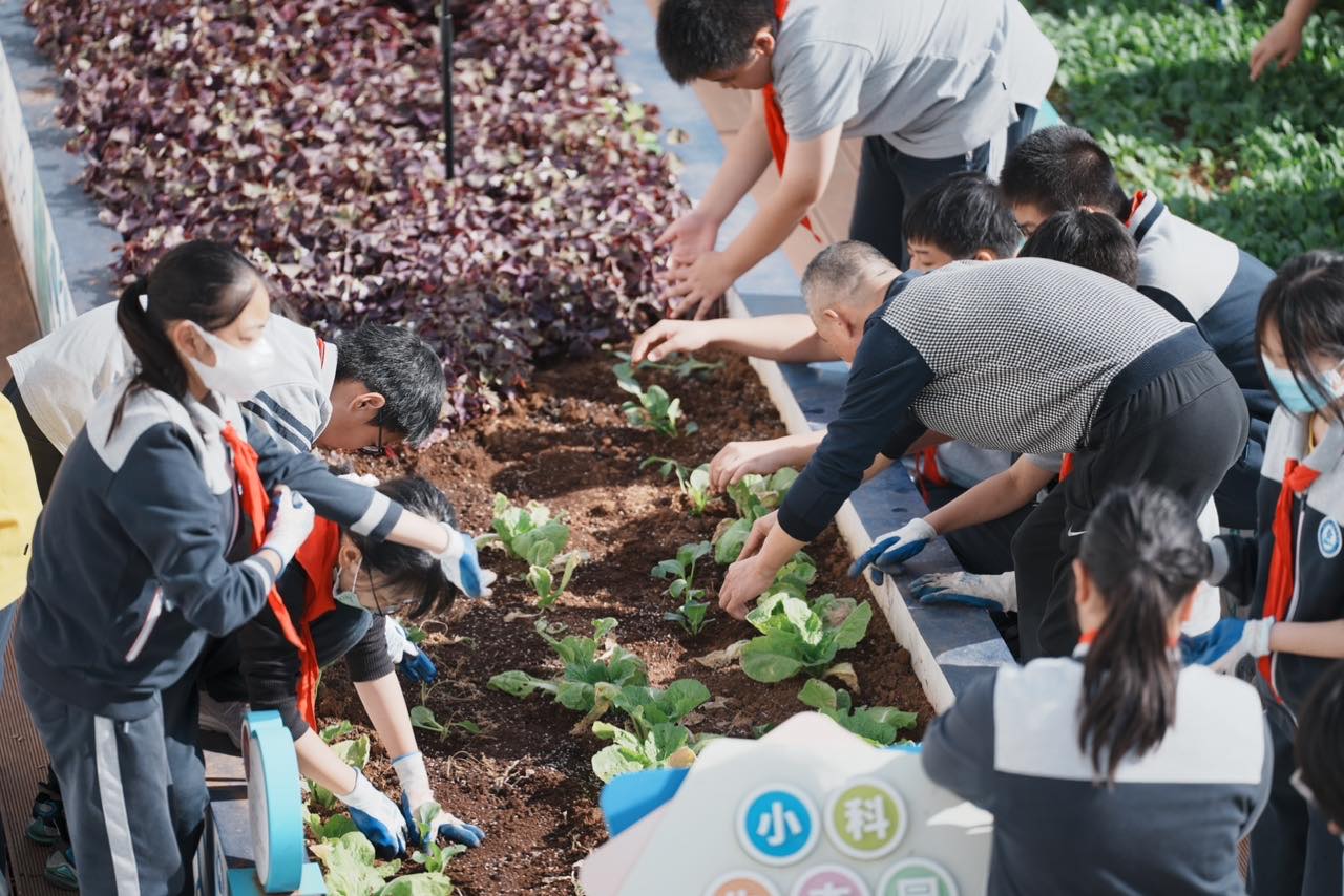 中科院上海实验学校种植课-526661.jpg 中科院上海实验学校种植课-526661.jpg