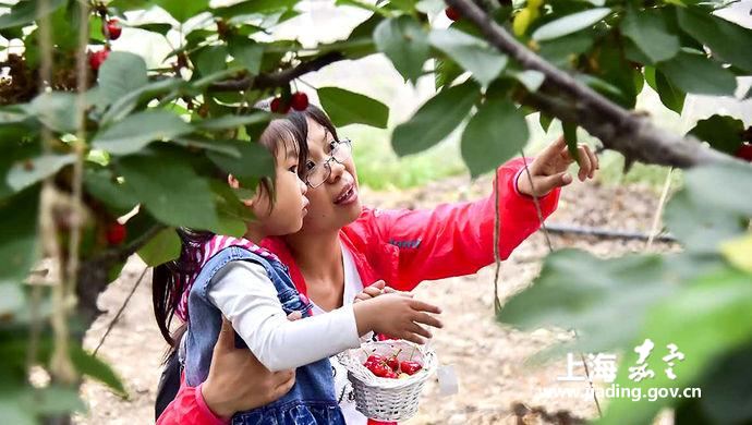 c32af31d7c9d4defab01842b21d8e730.jpg c32af31d7c9d4defab01842b21d8e730.jpg