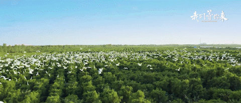 640 (3).gif 640 (3).gif