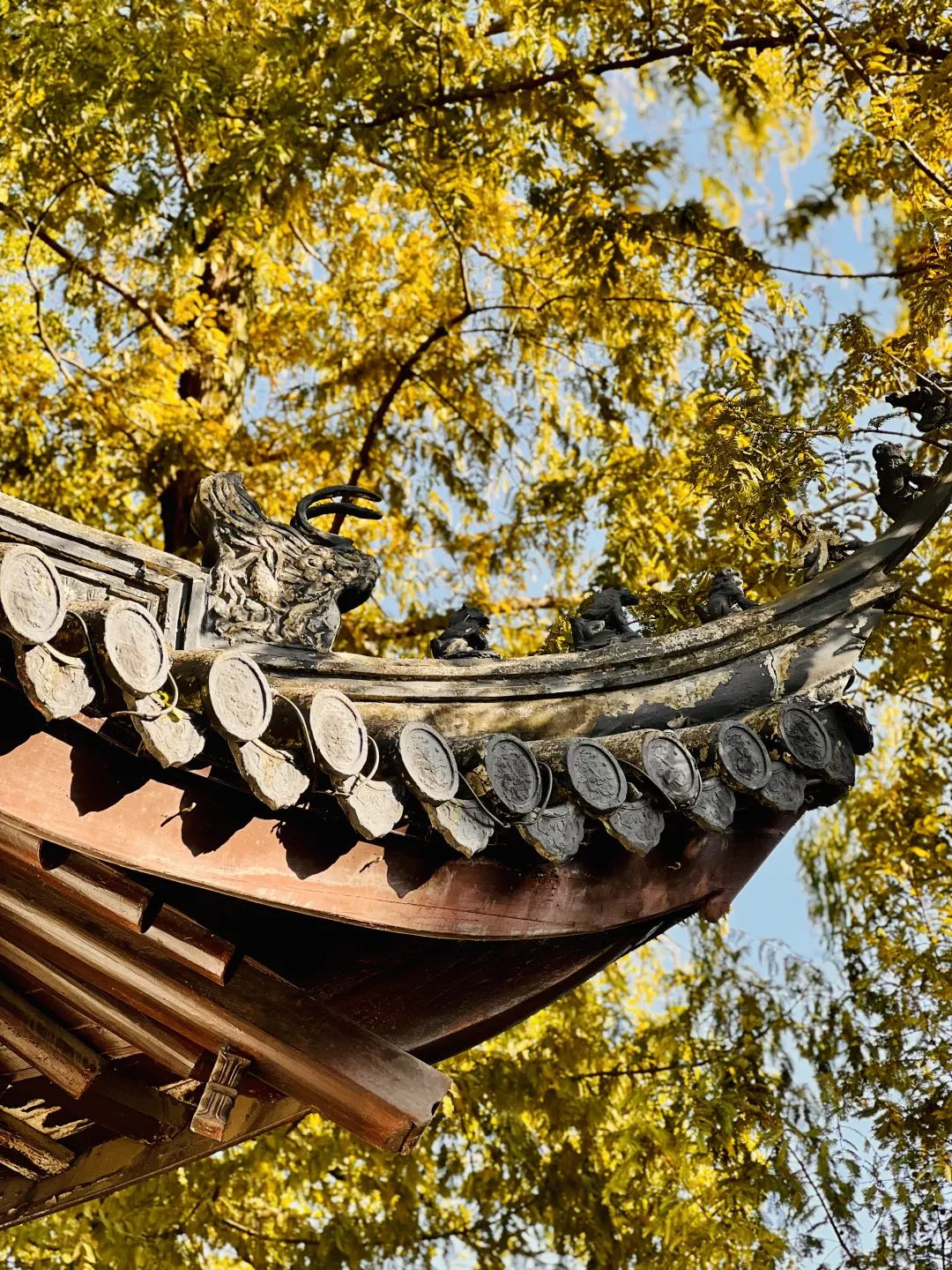 正文图片