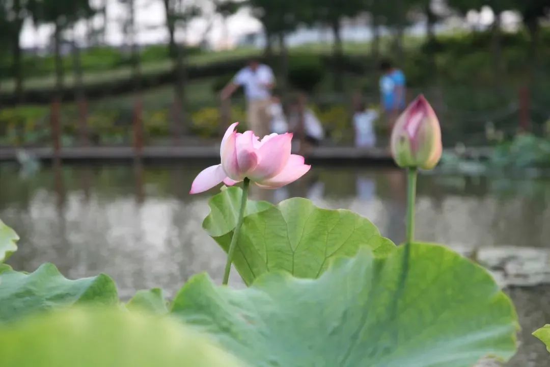 微信图片_20220606204203.jpg