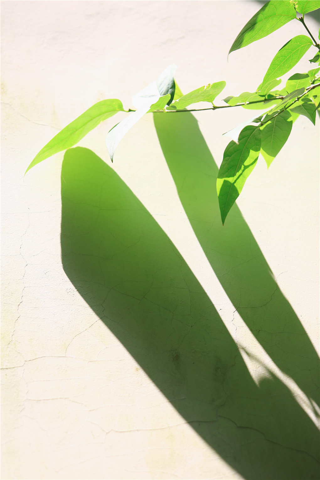 大暑-520718.jpg 大暑-520718.jpg