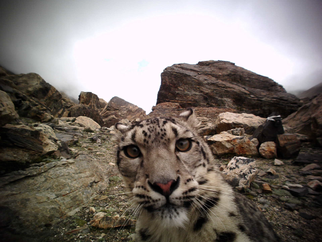 微信图片_20230524205407.png 微信图片_20230524205407.png