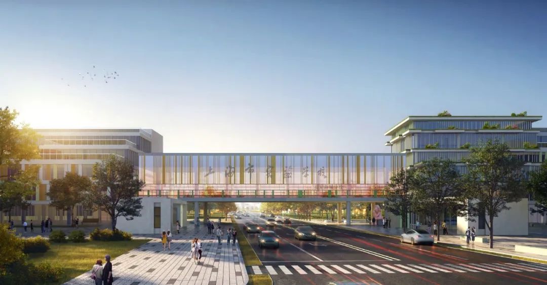 正文图片 正文图片