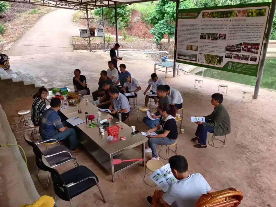 正文图片 正文图片