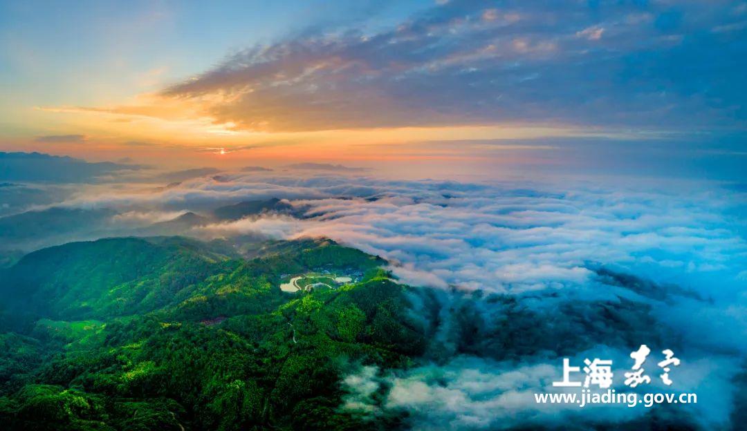 d2076e65a82840c196325708af391804.jpg d2076e65a82840c196325708af391804.jpg