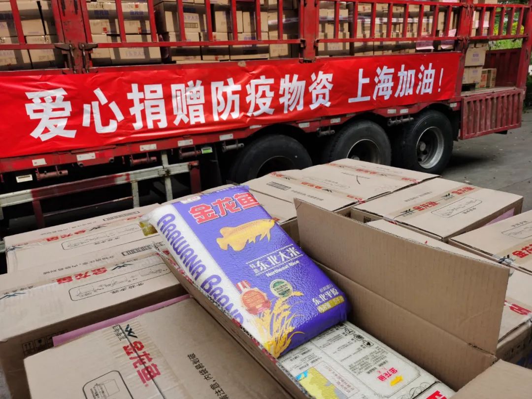 正文图片