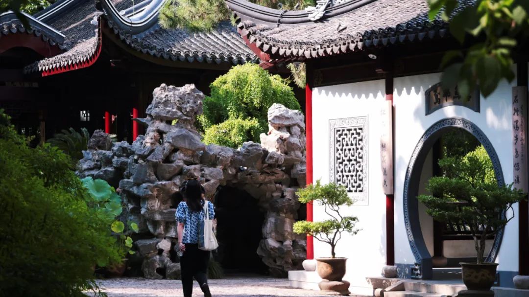 正文图片
