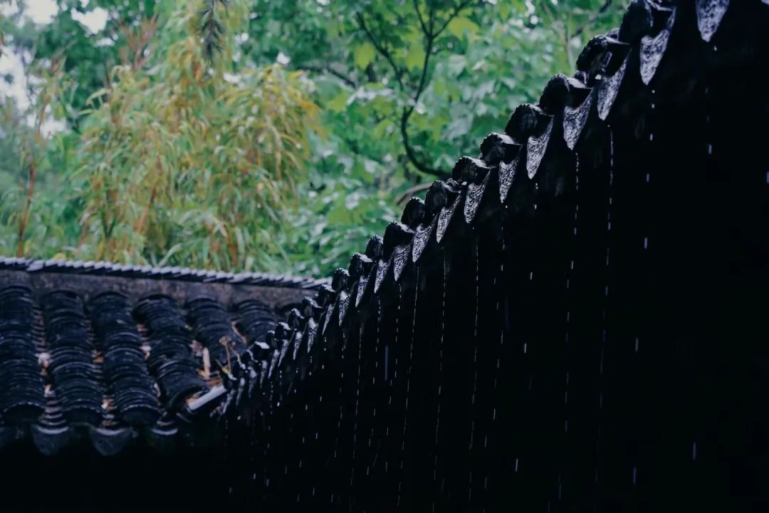 正文图片